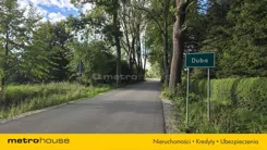 SGNADY521 - zdjęcie nr 0