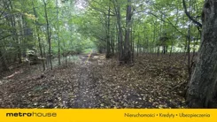 SGNADY521 - zdjęcie nr 2