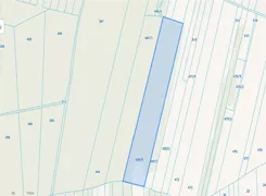 COJO584 - zdjęcie nr 2