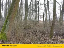 RELU265 - zdjęcie nr 3