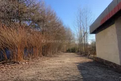 SGJOHA603 - zdjęcie nr 2