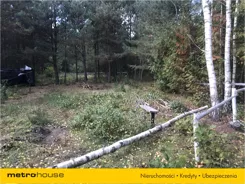 LYDI271 - zdjęcie nr 2