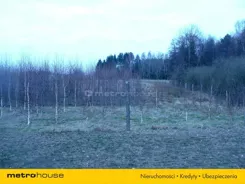 JOLE549 - zdjęcie nr 2