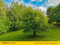 SGCEGA385 - zdjęcie nr 3