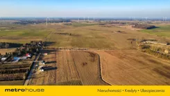 SGCALY246 - zdjęcie nr 0