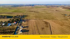 SGCALY246 - zdjęcie nr 2
