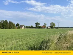 SGCALY246 - zdjęcie nr 3