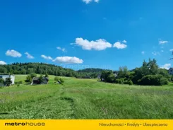 SGLIJY301 - zdjęcie nr 3