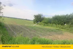 SGMUZI779 - zdjęcie nr 2