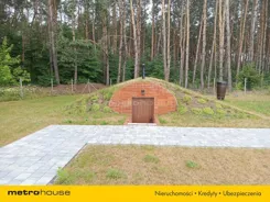 SGCOZI786 - zdjęcie nr 0