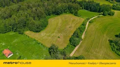 SGREJE761 - zdjęcie nr 4