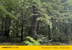 SGZAHE251 - zdjęcie nr 3