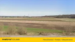 KOFU807 - zdjęcie nr 4