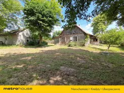 SGNOMU490 - zdjęcie nr 1