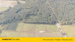 SGTANA168 - zdjęcie nr 0