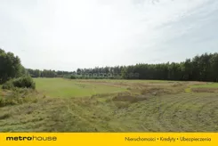 SGTANA168 - zdjęcie nr 1