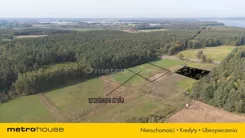 SGTANA168 - zdjęcie nr 2