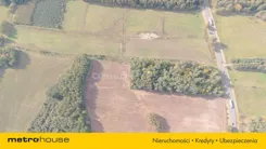 SGTANA168 - zdjęcie nr 3