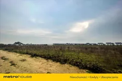 WOLO743 - zdjęcie nr 1