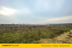 WOLO743 - zdjęcie nr 2