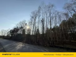 SGKUJY651 - zdjęcie nr 3