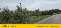 SGVOKY423 - zdjęcie nr 1