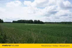 KENA988 - zdjęcie nr 0