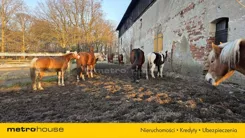 SGGUZY851 - zdjęcie nr 3