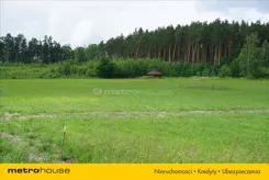 GAJU290 - zdjęcie nr 2