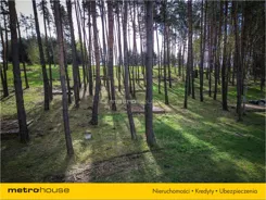 NITI388 - zdjęcie nr 4
