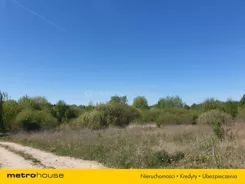 SGDADU541 - zdjęcie nr 4