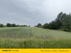 SGVINO418 - zdjęcie nr 1