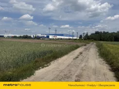 SGVINO418 - zdjęcie nr 3