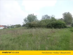 PEKU378 - zdjęcie nr 0