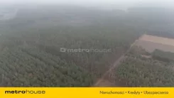 SGRALA134 - zdjęcie nr 0