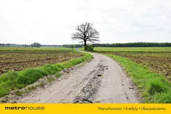 SGSEZU468 - zdjęcie nr 1