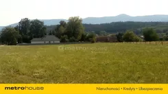 SGJIMY444 - zdjęcie nr 1