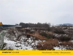 KOKE127 - zdjęcie nr 3
