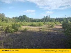 SGLEDE915 - zdjęcie nr 3