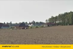 LIBU448 - zdjęcie nr 1