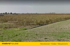 LIBU448 - zdjęcie nr 3