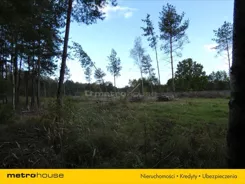 CYTO348 - zdjęcie nr 1