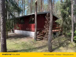 SGRODU444 - zdjęcie nr 2