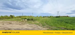 SGVETY946 - zdjęcie nr 1