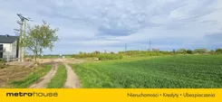 SGVETY946 - zdjęcie nr 3