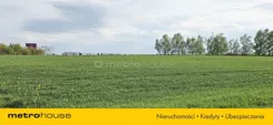 SGVETY946 - zdjęcie nr 4