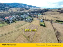 SGLIVO225 - zdjęcie nr 1