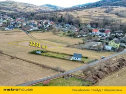 SGLIVO225 - zdjęcie nr 3