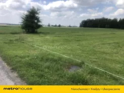 SGBODA550 - zdjęcie nr 2