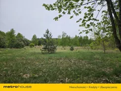 SGBABI795 - zdjęcie nr 0